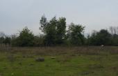 tti6198, PARCELA DE 5.000 M2, EN SECTOR VARA GRUESA, COMUNA DE LINARES.