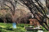 IMG-20200915-WA0011