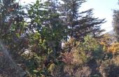 IMG-20200915-WA0014