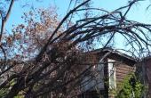 IMG-20200915-WA0018