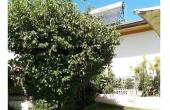 tti7041, Vendo enorme casa central en Quilpue
