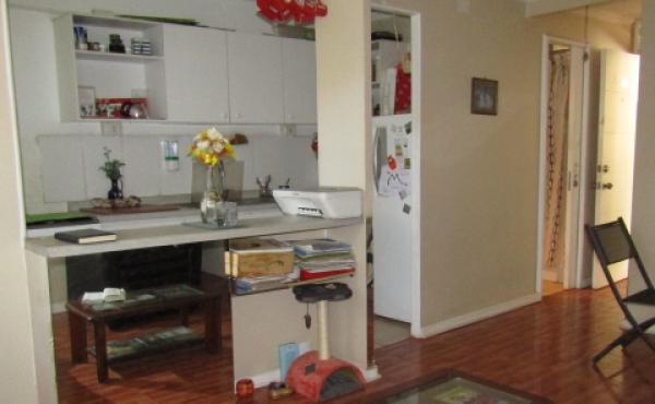 10 Living Comedor con Cocina americana