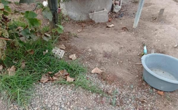 IMG-20210522-WA0017
