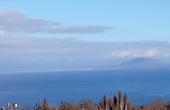 IMG_20210618_160138_1