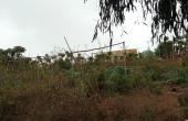 IMG_20210528_162735_1