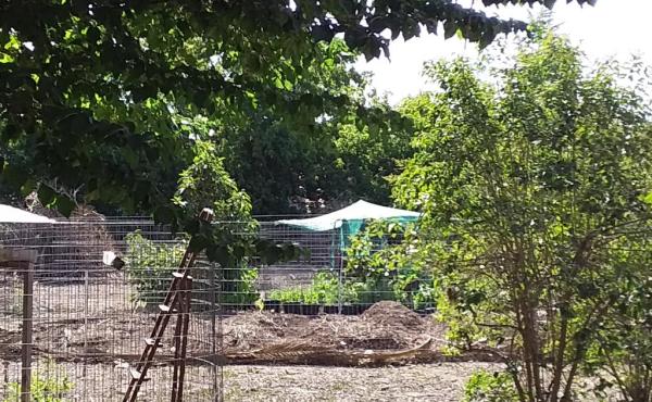 Sitio trasero, sin construcción