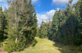 tti7695, Parque Rio Alto